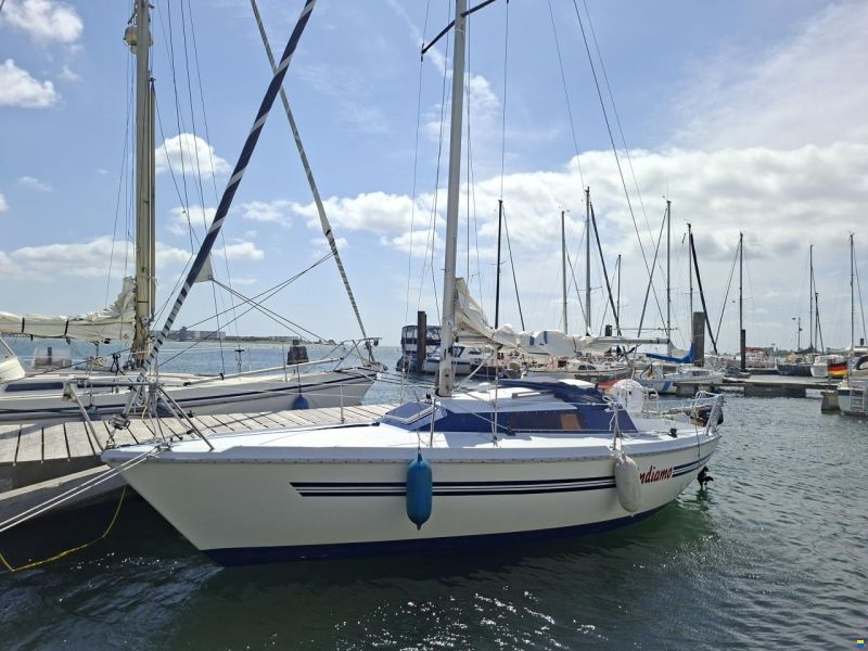 Mallard Start 7