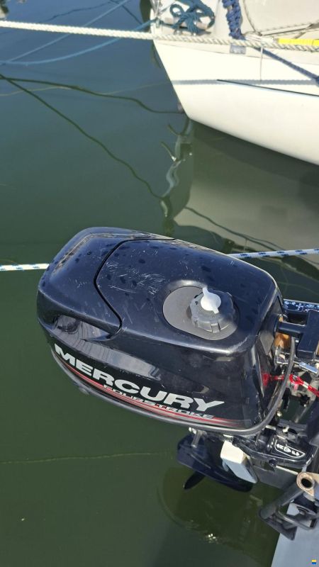 Mallard Start 7