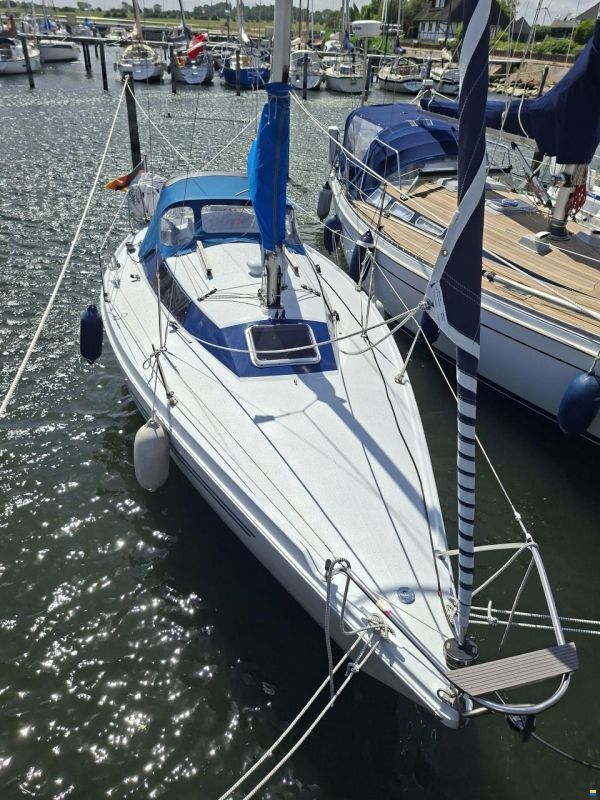 Mallard Start 7