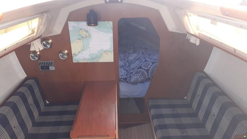 Mallard Start 7