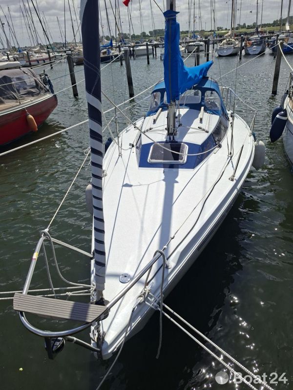 Mallard Start 7