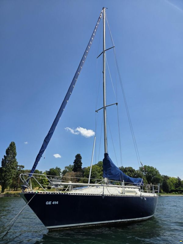 Ardleigh Colvic Ufo 31