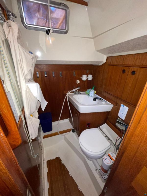 Baltic 37