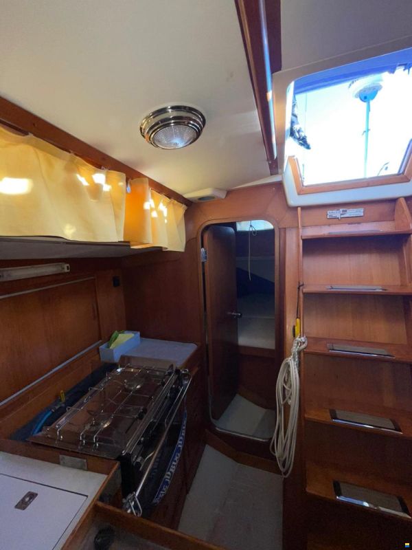 Baltic 37