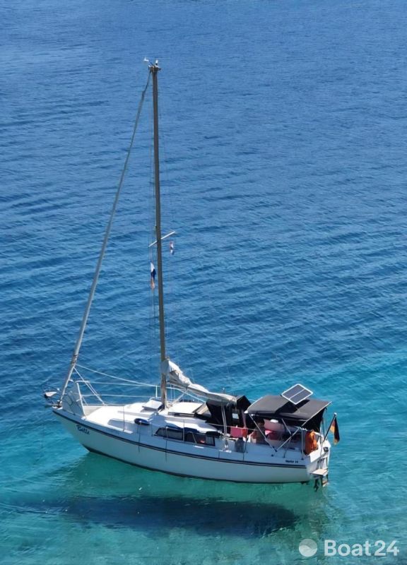 Neptun 26