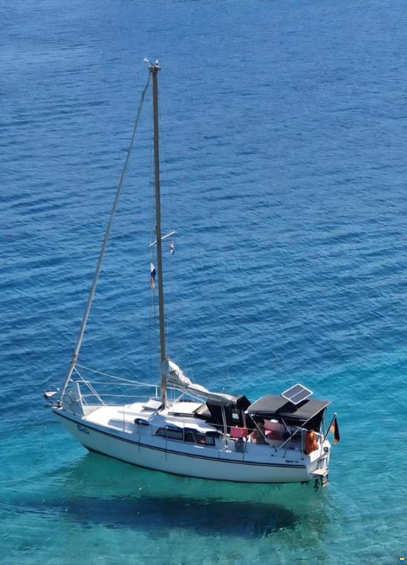 Neptun 26