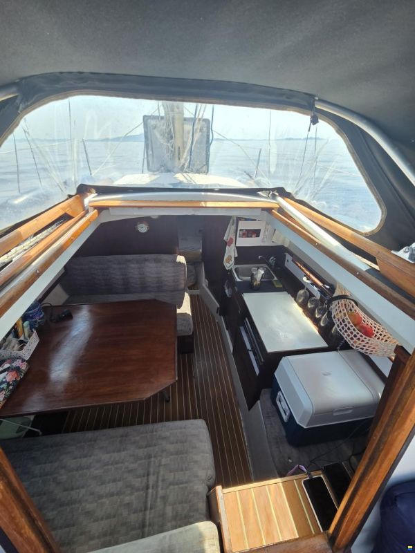 Neptun 26