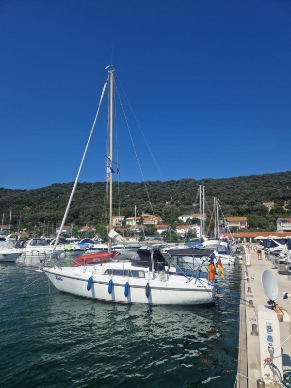 Neptun 26