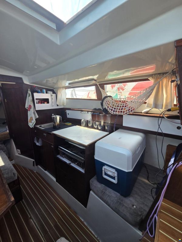 Neptun 26