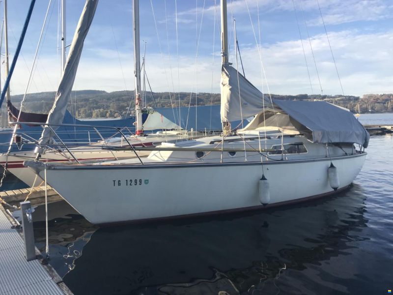 Genzel Phantom 29