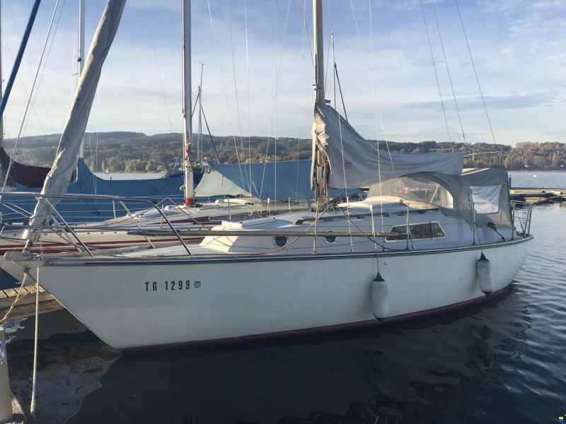 Genzel Phantom 29