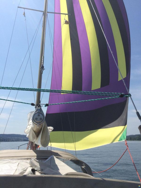 Genzel Phantom 29