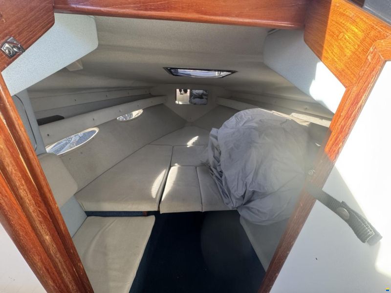 Sea Ray 260 CC