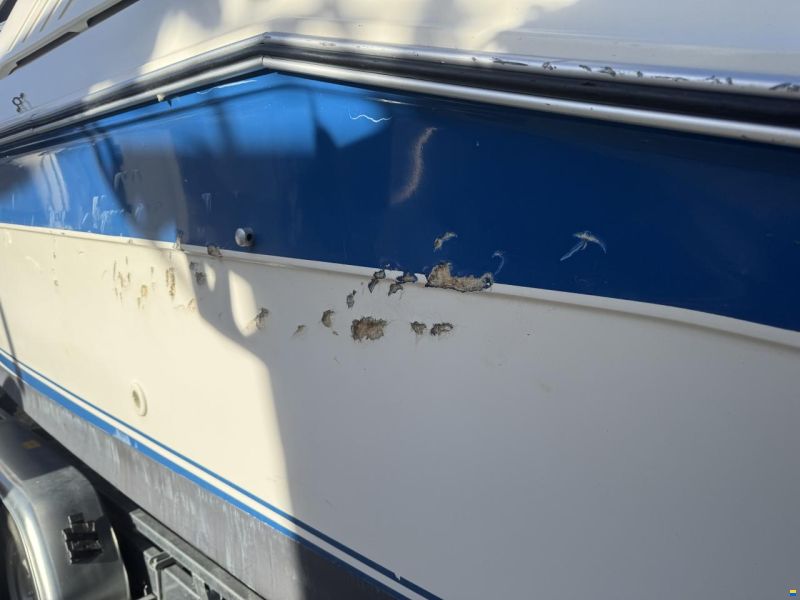Sea Ray 260 CC