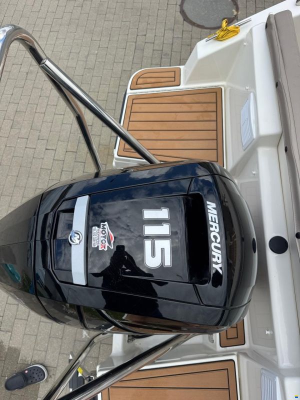 Quicksilver Activ 555