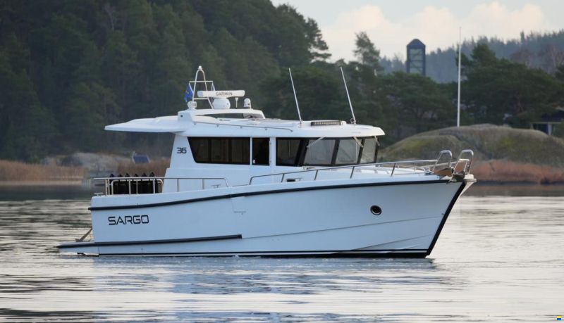 Sargo 36