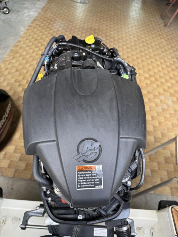 Quicksilver Activ 645 Cabin