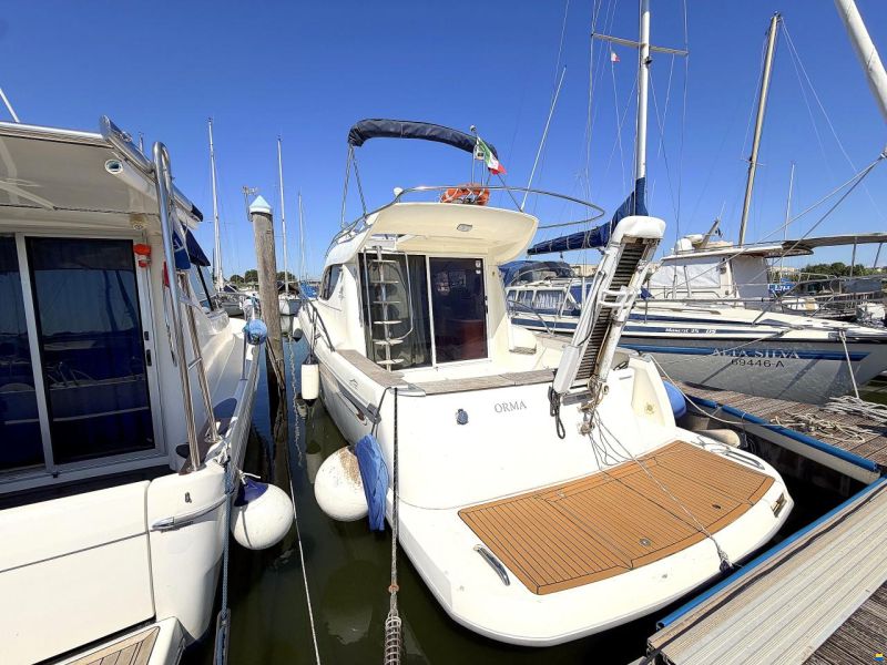 Sessa Dorado 32