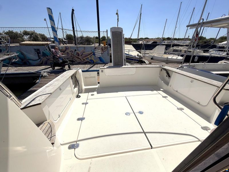Sessa Dorado 32