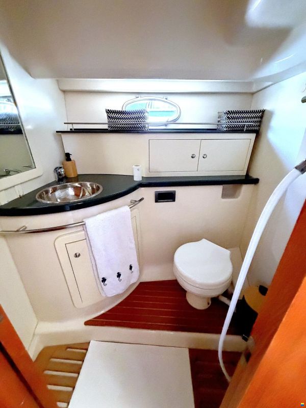 Sessa Dorado 32