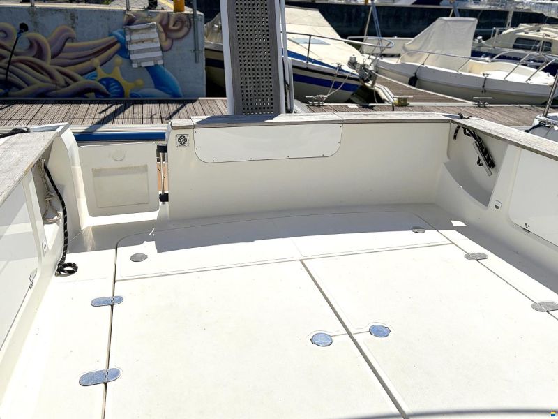 Sessa Dorado 32