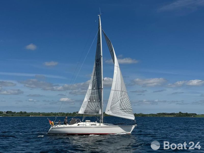 Asmus Hanseat A37