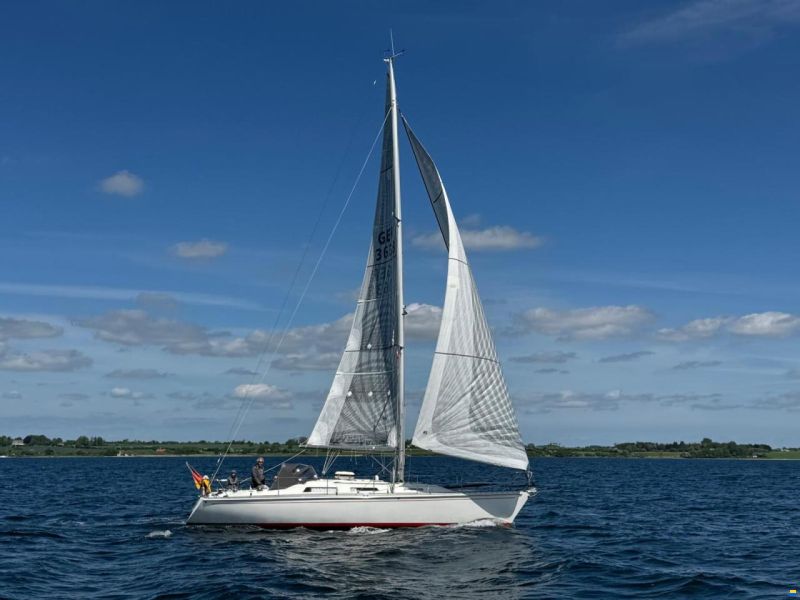 Asmus Hanseat A37