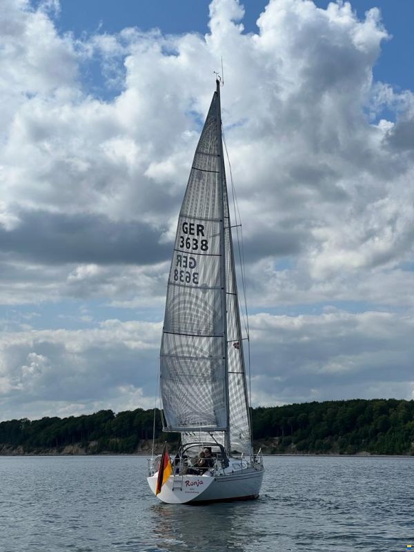 Asmus Hanseat A37
