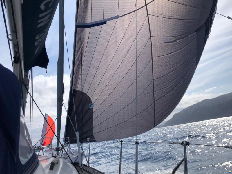 Poncin Diva 38