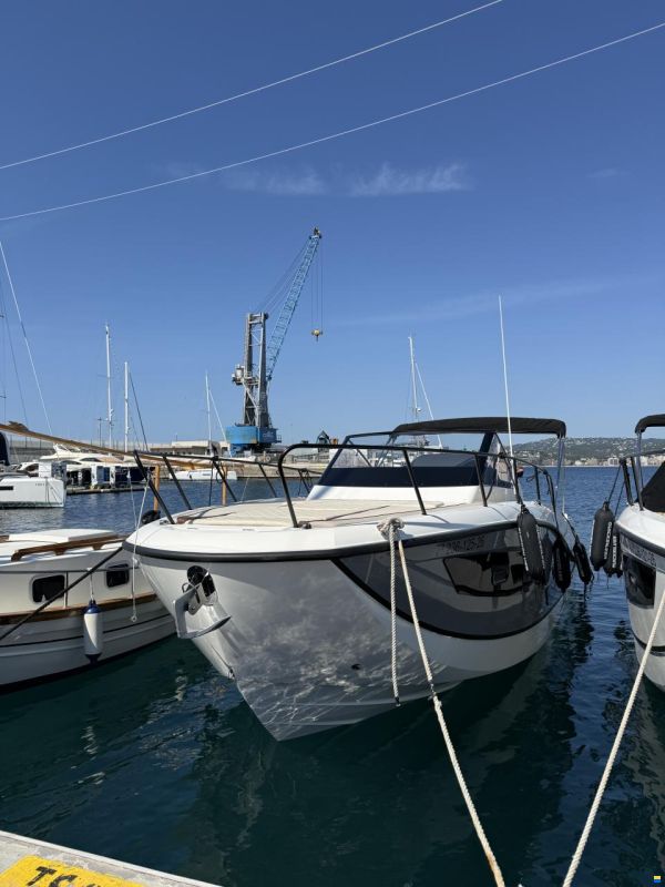 Quicksilver 875