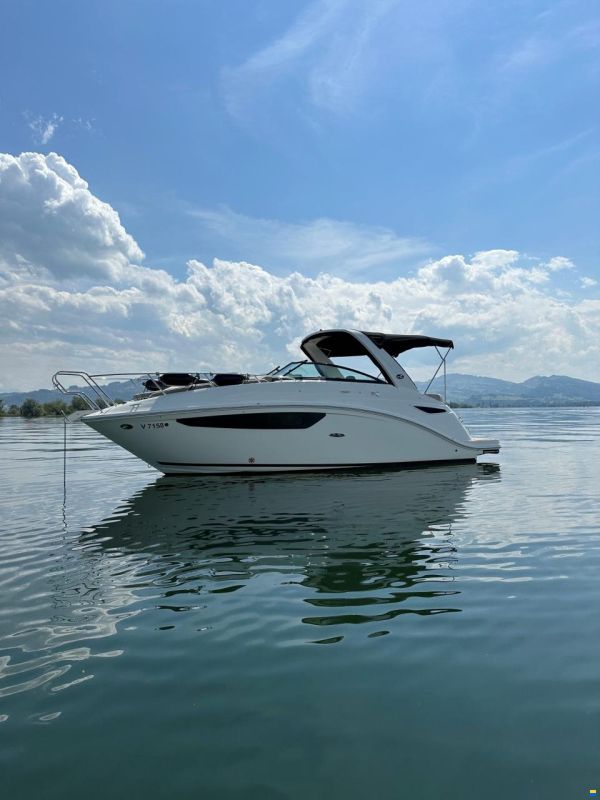 Sea Ray SeaRay Sundancer 265
