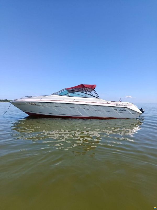Sea Ray 200