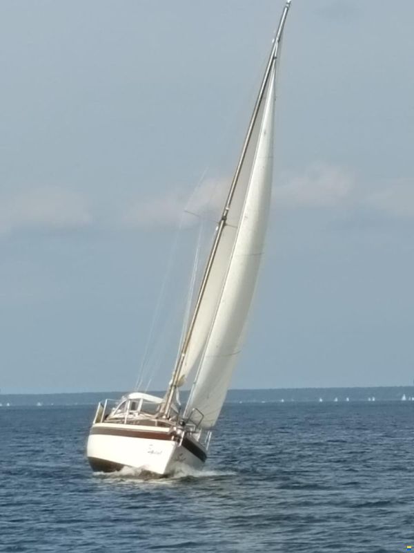 Dehler Optima 98 GS