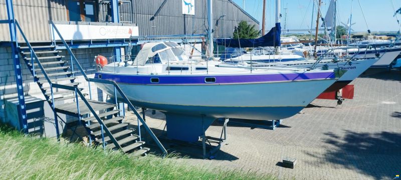 Piewiet 1100