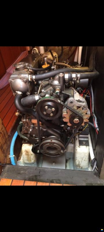 Piewiet 1100