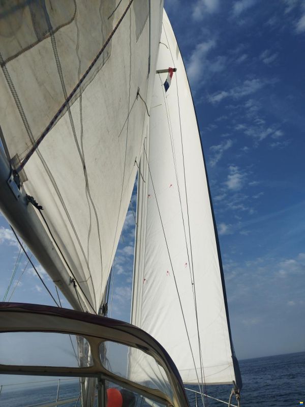 Piewiet 1100