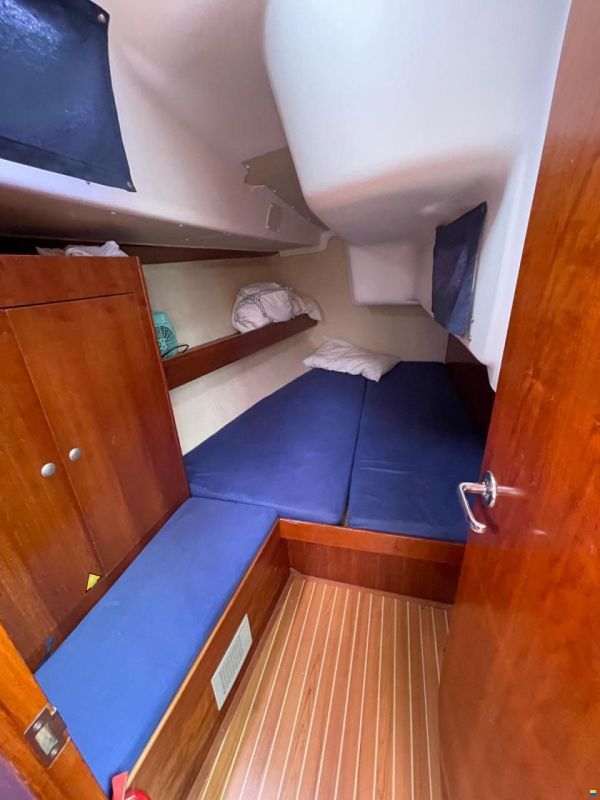 Solina 45