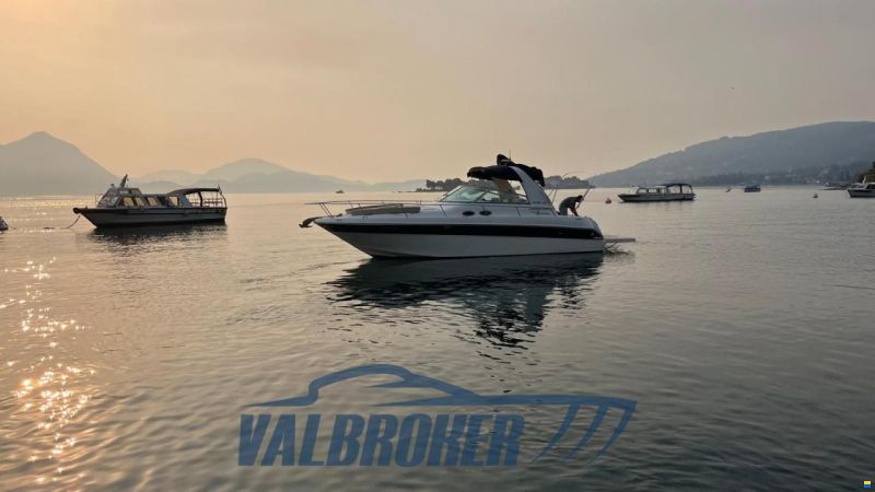 Sea Ray 310 SUNDANCER