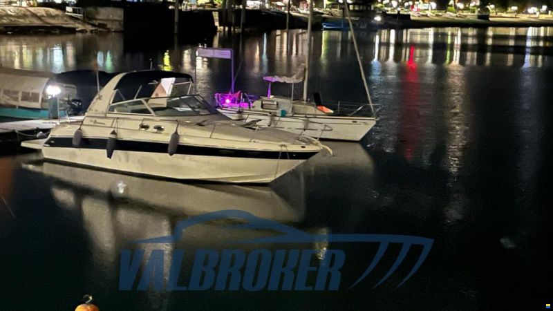 Sea Ray 310 SUNDANCER