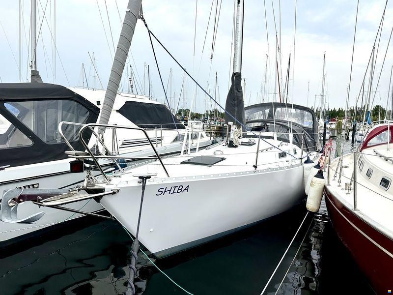 Forgus 31