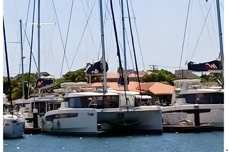Leopard 50