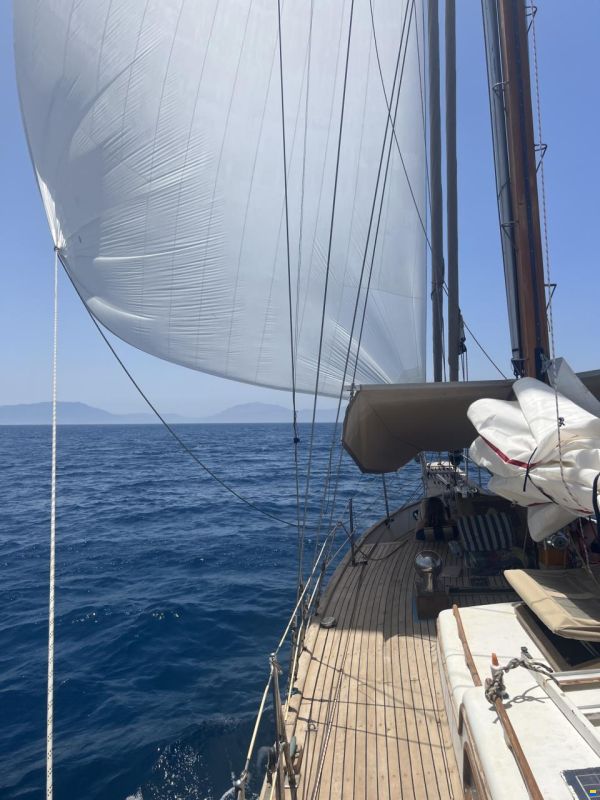 Globe 38