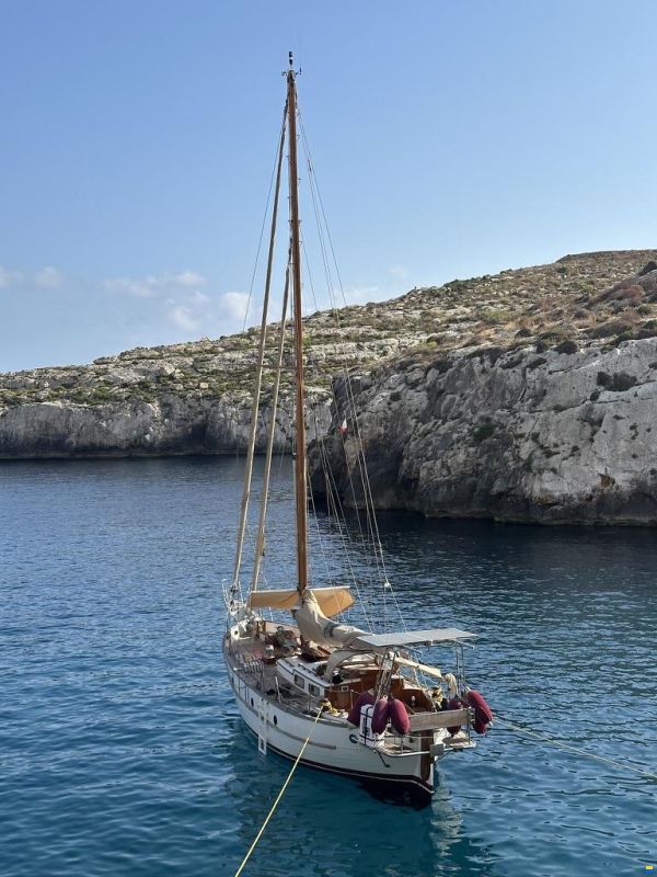 Globe 38