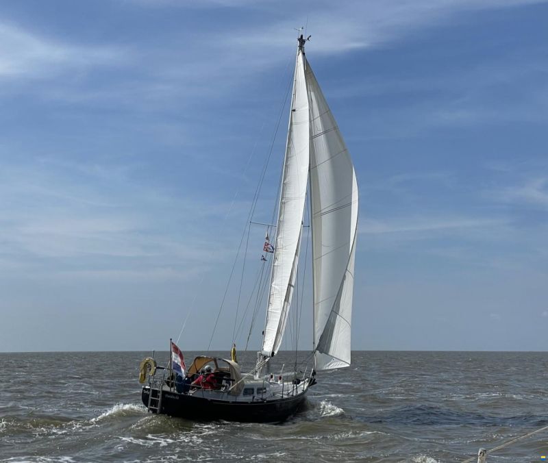 Koopmans Cormoran 31 ft