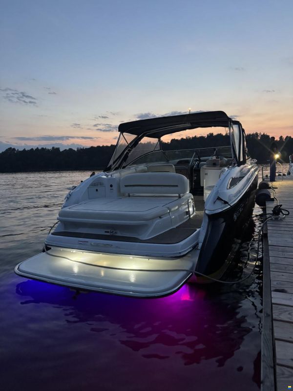 Cobalt 323
