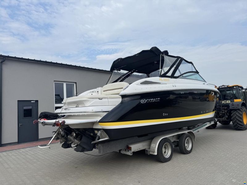 Cobalt 323