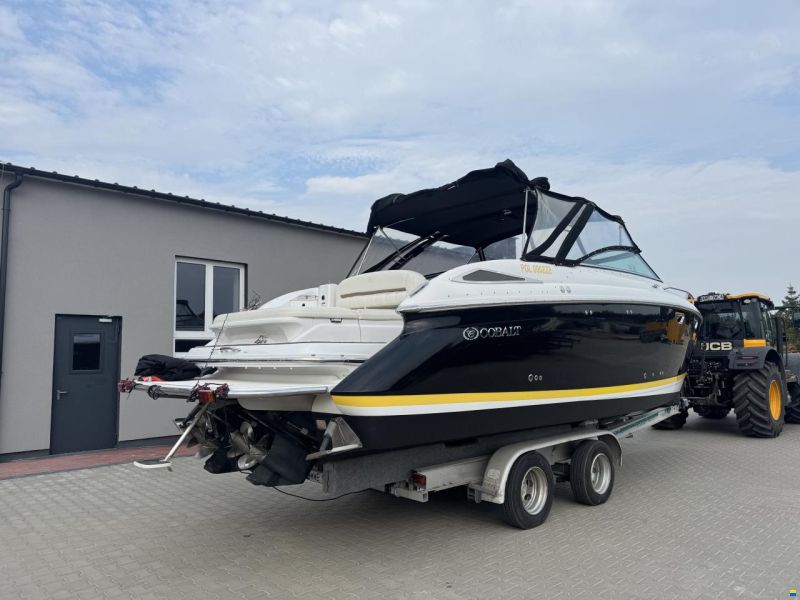 Cobalt 323
