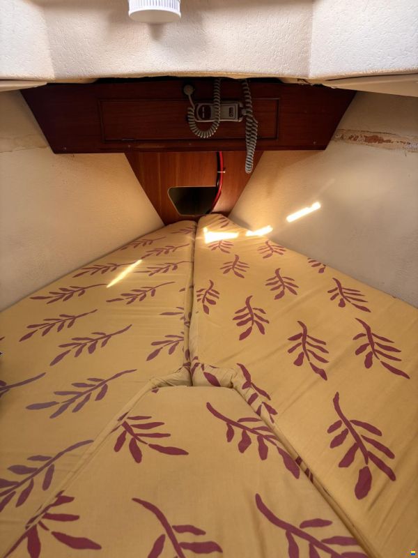 Jeremy Rogers Limited Contessa 32