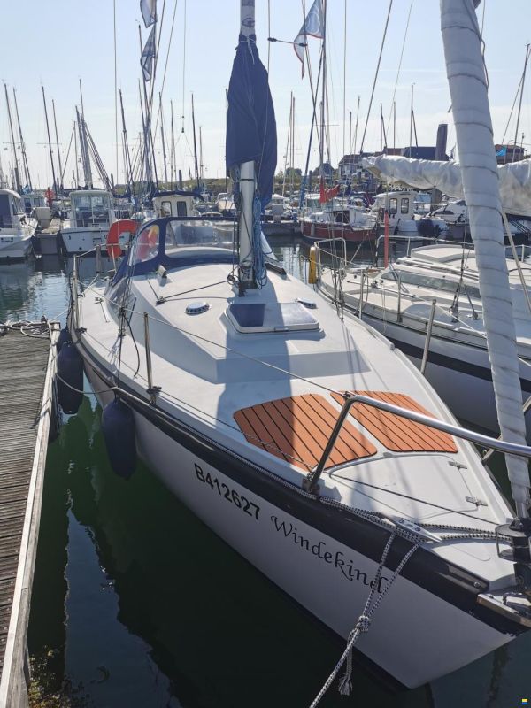 Aloa 25