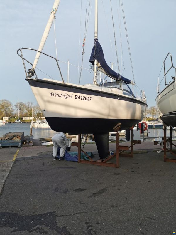 Aloa 25